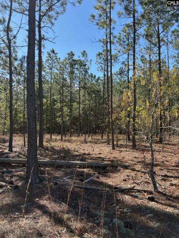 0 0 East Old Camden Highway Darlington SC 29550