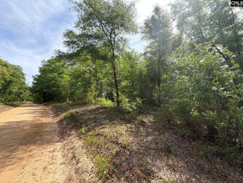 Rrf 7 Rogers Cemetery Road Salley SC 29137