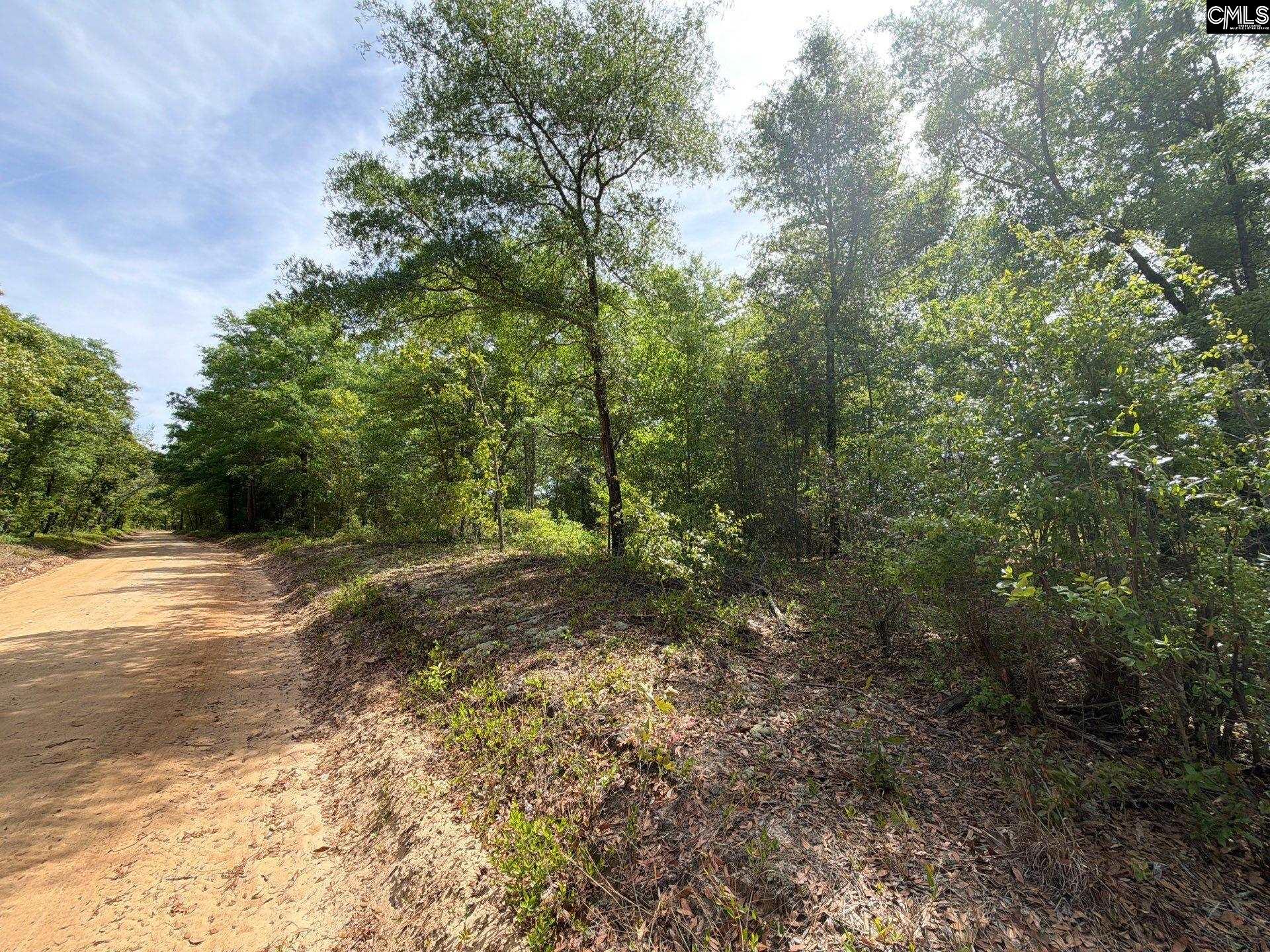 Rrf 7 Rogers Cemetery Road Salley SC 29137