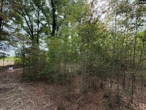 Rrf 7 Rogers Cemetery Road Salley SC 29137