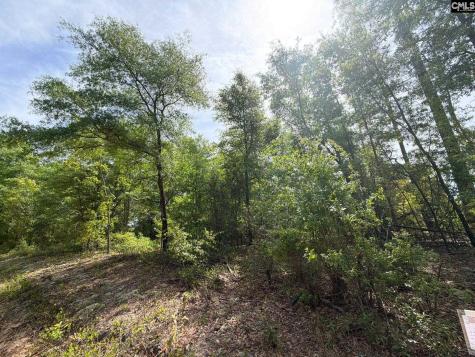 Rrf 7 Rogers Cemetery Road Salley SC 29137