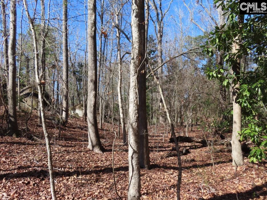 0 Rion Road Winnsboro SC 29180