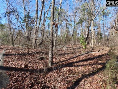 0 Rion Road Winnsboro SC 29180