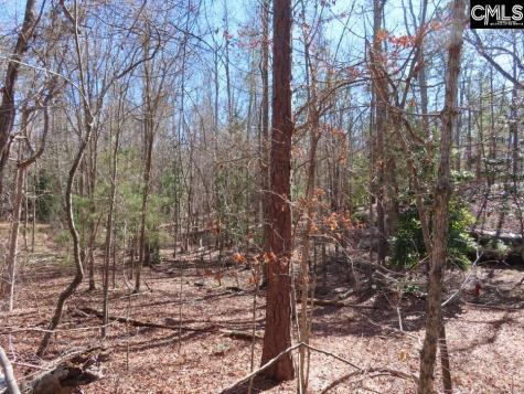 0 Rion Road Winnsboro SC 29180