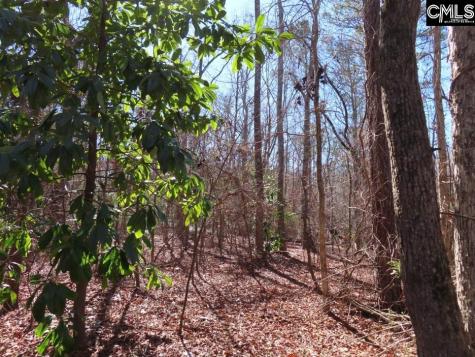0 Rion Road Winnsboro SC 29180