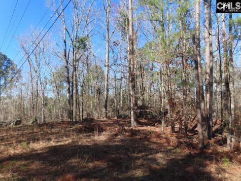 0 Rion Road Winnsboro SC 29180