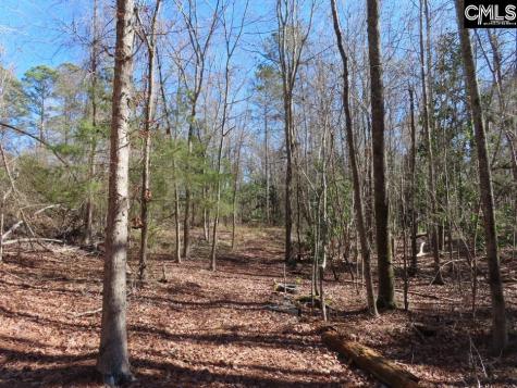 0 Rion Road Winnsboro SC 29180