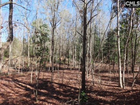 0 Rion Road Winnsboro SC 29180