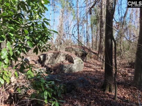 0 Rion Road Winnsboro SC 29180