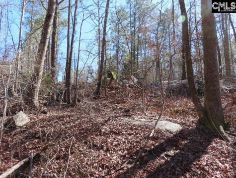0 Rion Road Winnsboro SC 29180