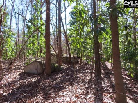 0 Rion Road Winnsboro SC 29180