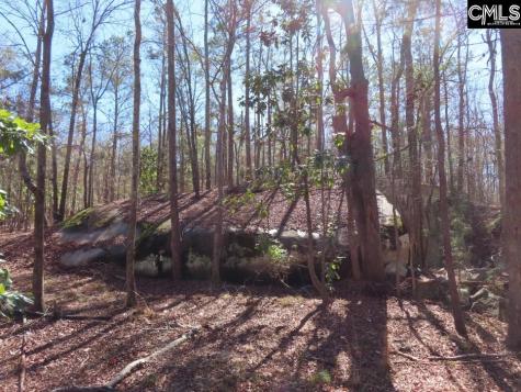 0 Rion Road Winnsboro SC 29180