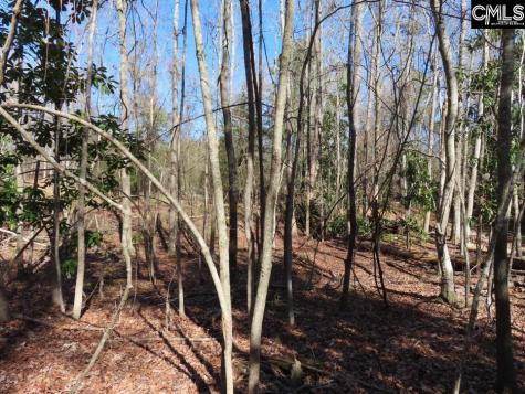 0 Rion Road Winnsboro SC 29180