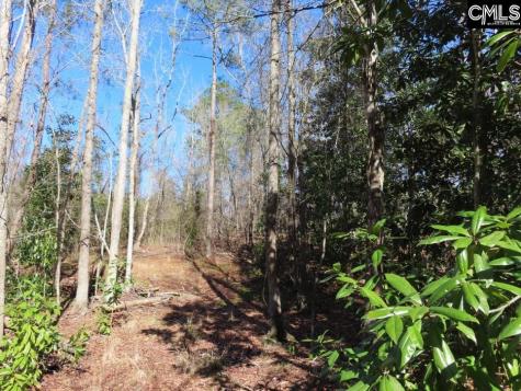 0 Rion Road Winnsboro SC 29180