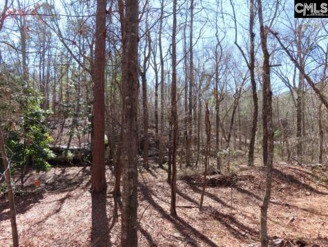 0 Rion Road Winnsboro SC 29180