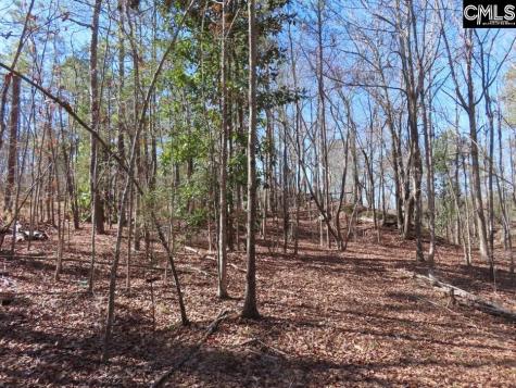 0 Rion Road Winnsboro SC 29180