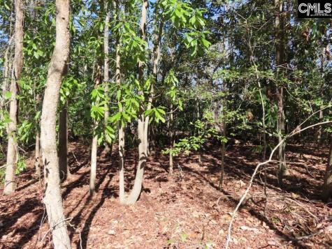 0 Rion Road Winnsboro SC 29180