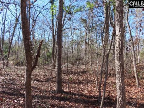 0 Rion Road Winnsboro SC 29180