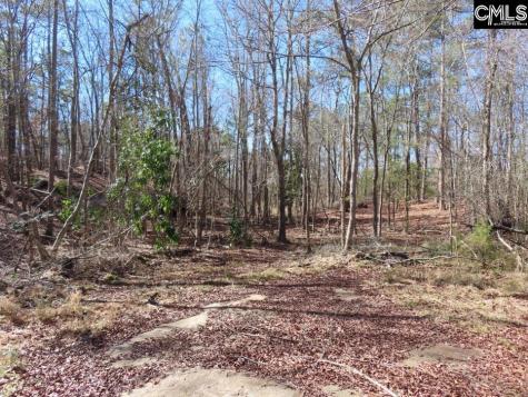 0 Rion Road Winnsboro SC 29180