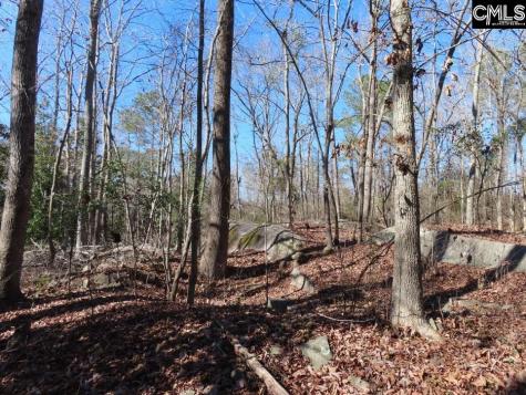 0 Rion Road Winnsboro SC 29180