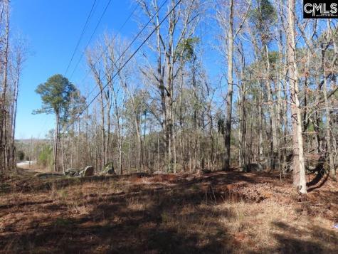 0 Rion Road Winnsboro SC 29180