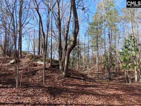 0 Rion Road Winnsboro SC 29180