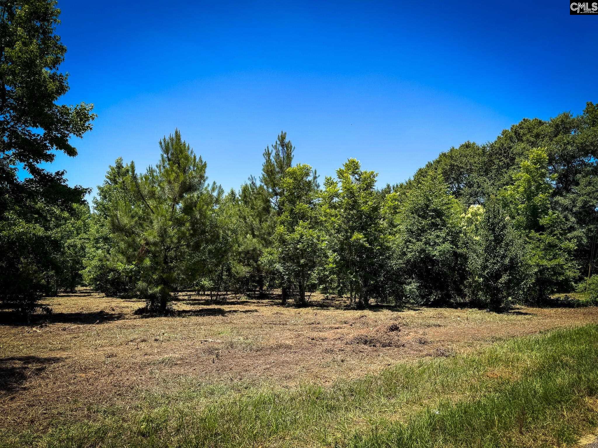 0 S Bethlehem Road Lot 2 Batesburg SC 29006