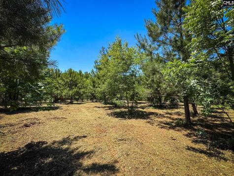 0 S Bethlehem Road Lot 2 Batesburg SC 29006