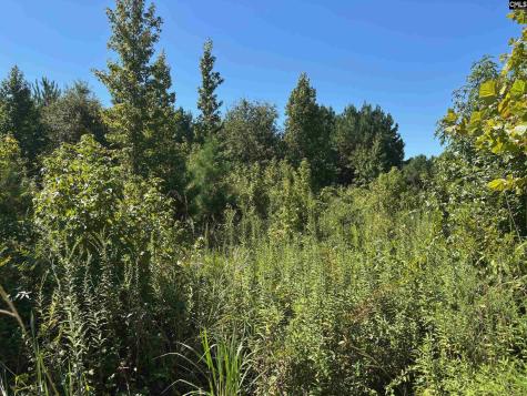 1008 Langford Road Blythewood SC 29016-0000