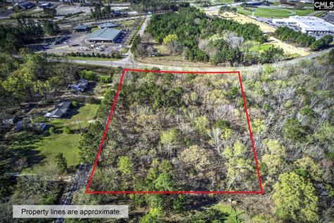 1013 N Wingard Road Irmo SC 29063