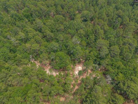 0 Woodtrail Drive Gaston SC 29053