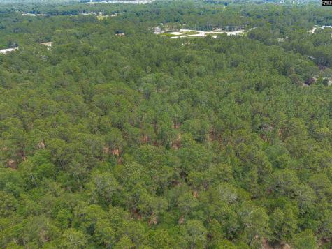 0 Woodtrail Drive Gaston SC 29053