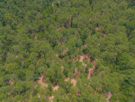 0 Woodtrail Drive Gaston SC 29053