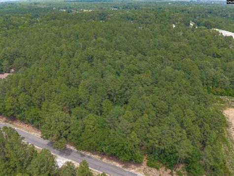0 Woodtrail Drive Gaston SC 29053