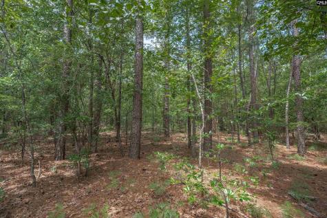 0 Woodtrail Drive Gaston SC 29053