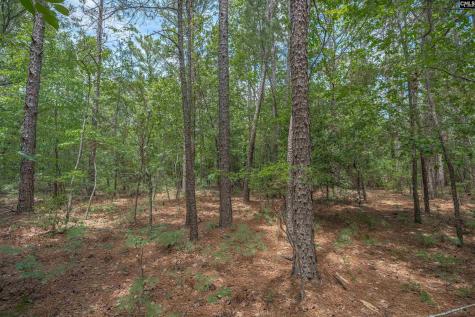 0 Woodtrail Drive Gaston SC 29053