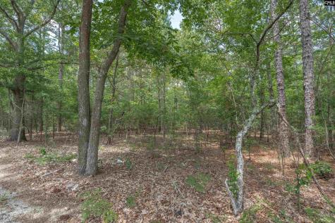 0 Woodtrail Drive Gaston SC 29053