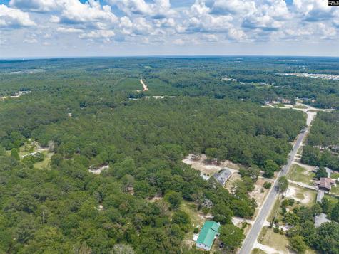 0 Woodtrail Drive Gaston SC 29053