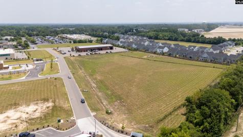 206 Bo Tire Way Lexington SC 29072