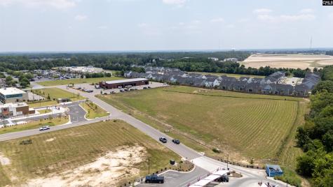 206 Bo Tire Way Lexington SC 29072