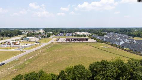 206 Bo Tire Way Lexington SC 29072