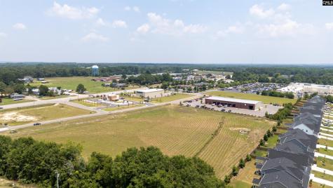 206 Bo Tire Way Lexington SC 29072