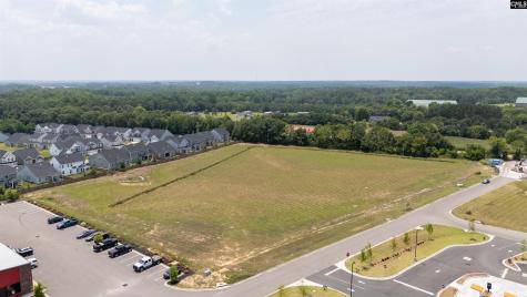 206 Bo Tire Way Lexington SC 29072