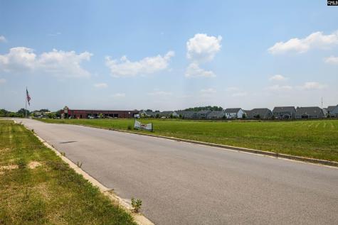 206 Bo Tire Way Lexington SC 29072