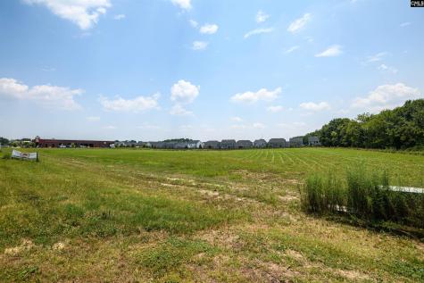 206 Bo Tire Way Lexington SC 29072