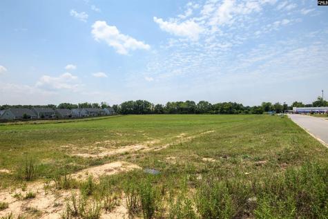 206 Bo Tire Way Lexington SC 29072