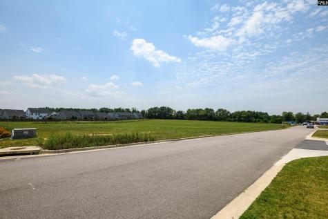 206 Bo Tire Way Lexington SC 29072