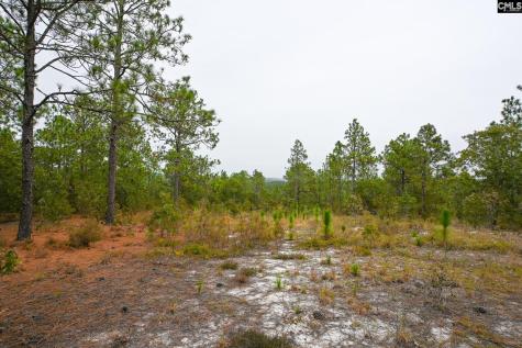 113 Longview Street Lexington SC 29073