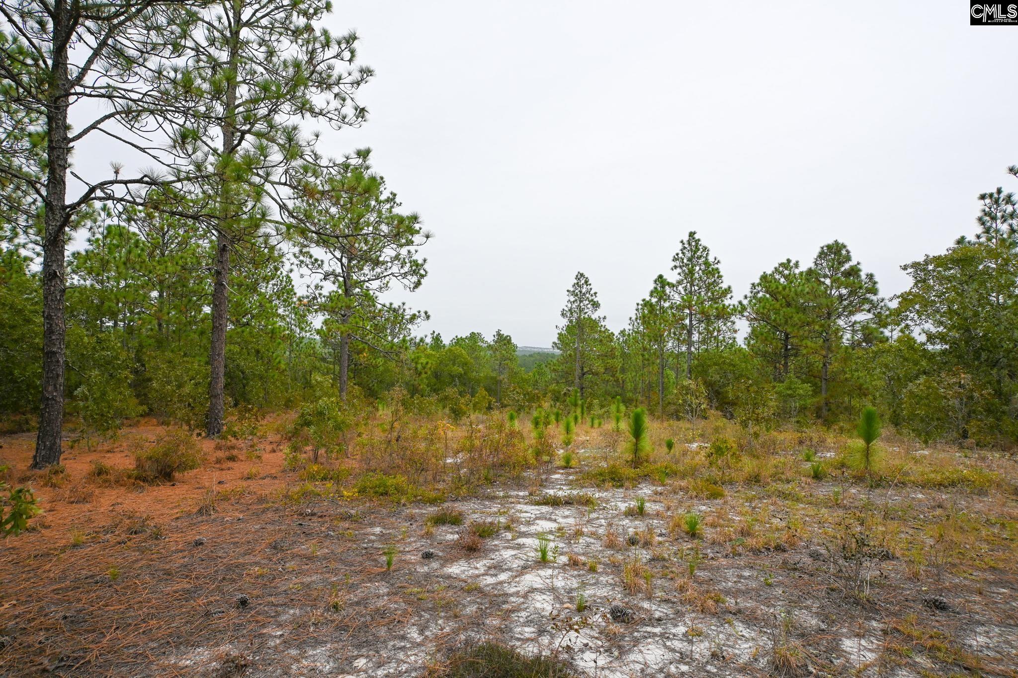 113 Longview Street Lexington SC 29073