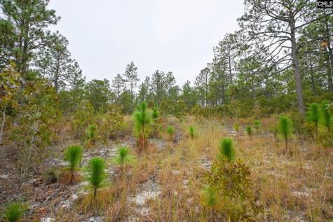 113 Longview Street Lexington SC 29073